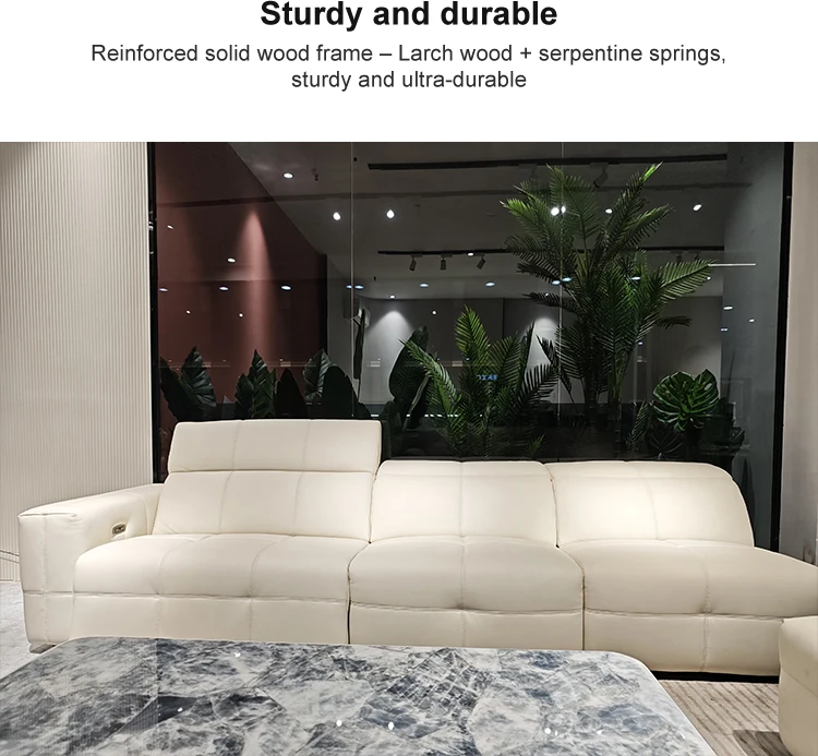 Italian Genuine Leather Small Sized Adjustable Row Style Electric Function Sponge Filled Sofa for Living Room